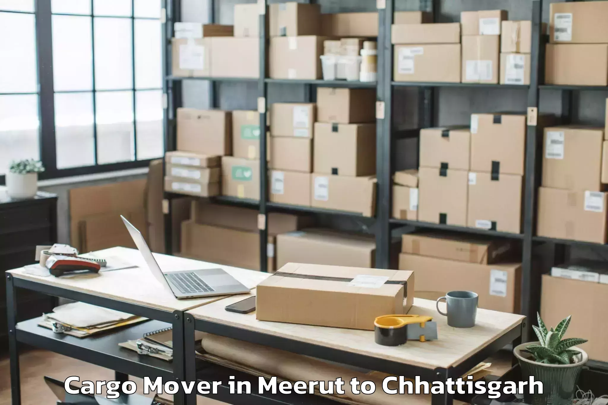 Get Meerut to Sarguja University Ambikapur Cargo Mover